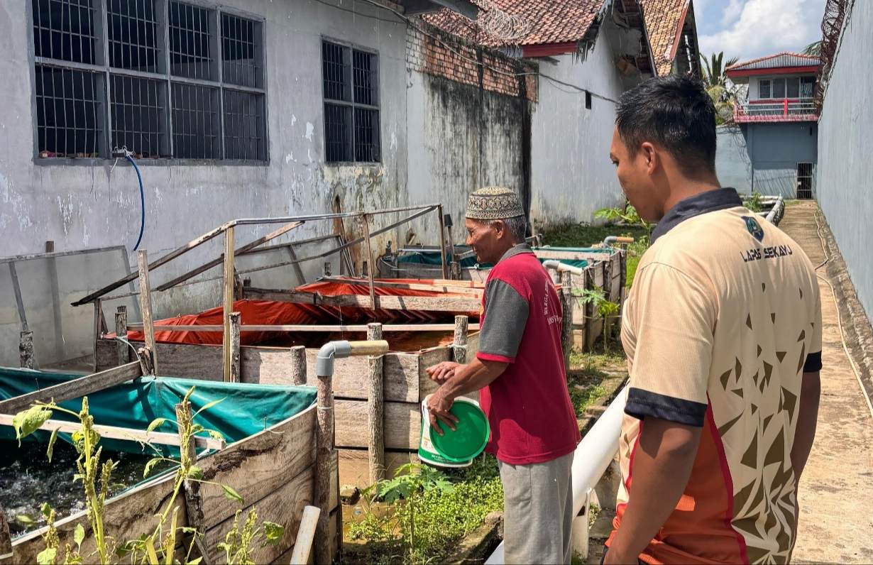 Petugas dan Warga Binaan Lapas Sekayu Kompak Beri Pakan Ikan Lele Secara Rutin