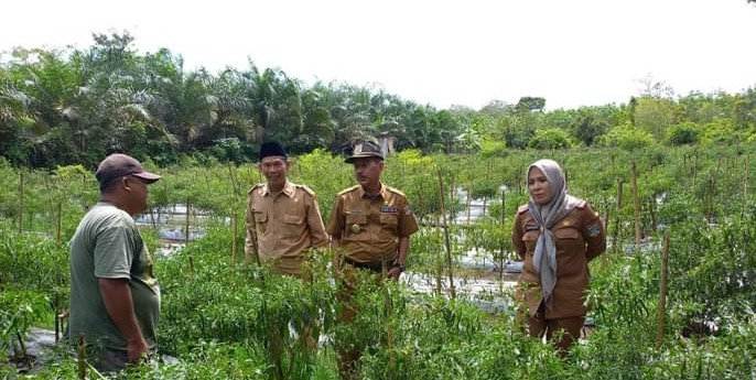 Tim Pertanian Muratara Monitor Kebun Penerima Bantuan, Ternyata Ini Tujuannya
