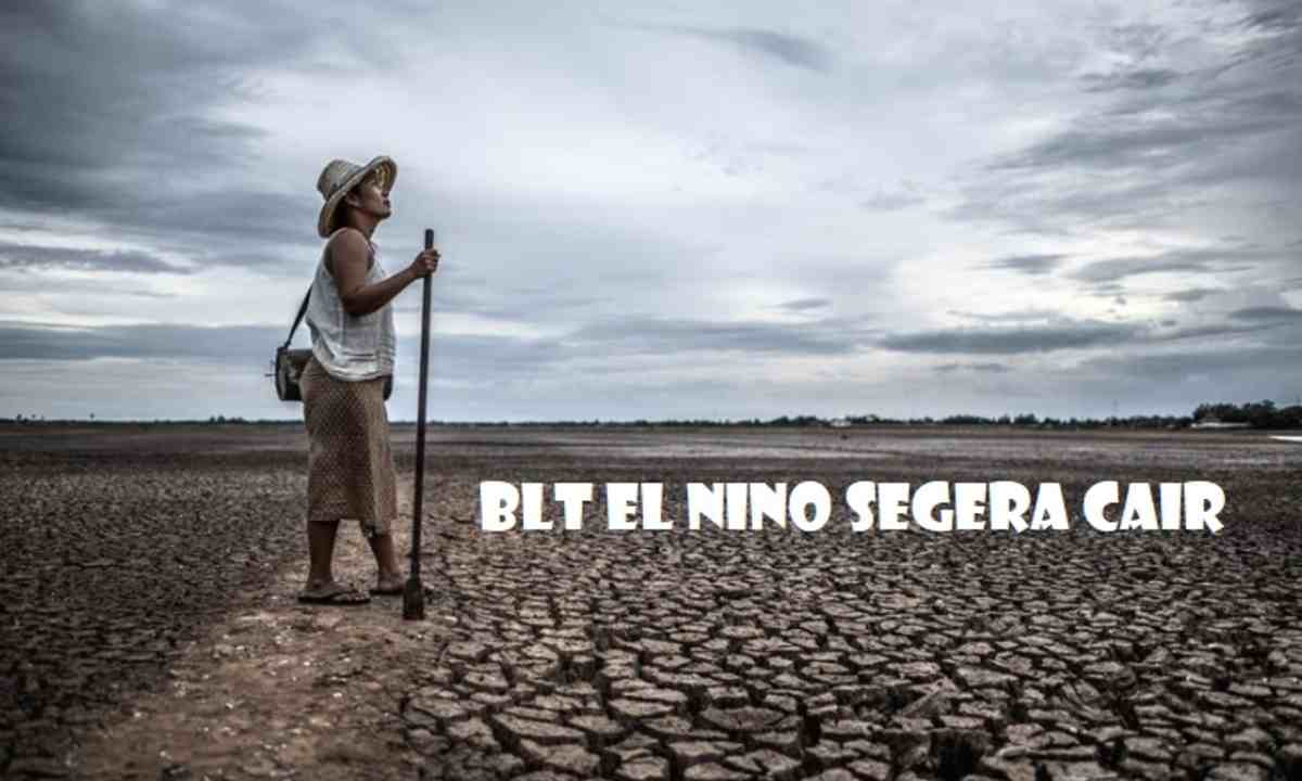 BLT El Nino Segera Cair ke Penerima Bansos PKH dan BPNT, Cek Nama Penerimanya!   