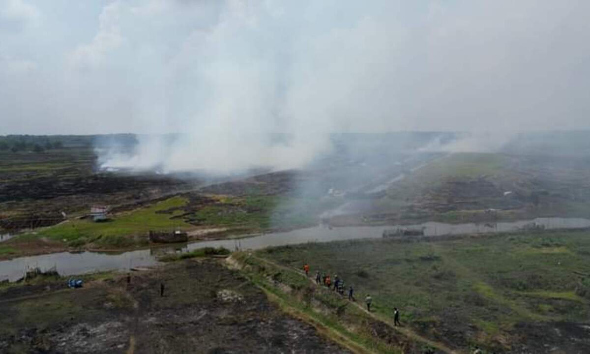 Karhutla Menggila, 1.088 Hektar Lahan di Ogan Ilir Terbakar  