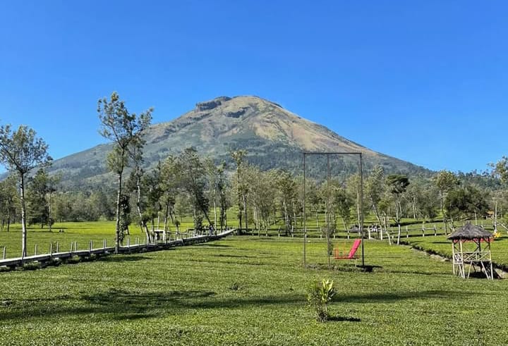 5 Rekomendasi Wisata di Wonosobo Ini Wajib Kamu Datangi, Hadirkan Pemandangan Indah yang Tak Terduga!