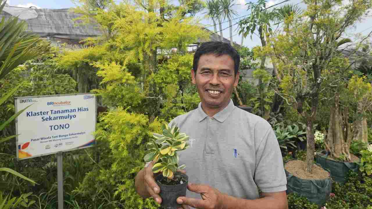 Ini Kisah Klaster Usaha Tanaman Hias Binaan BRI, Sukses Jadi Mata Pencaharian Warga Sekitar 