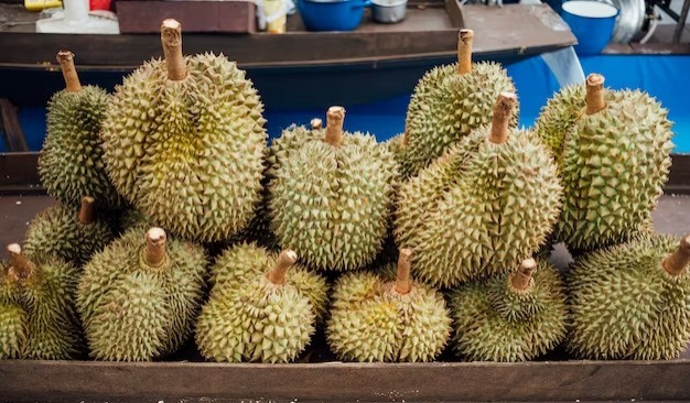 Juara Paling Enak! Ini 8 Jenis Durian Indonesia Paling Populer, Mana Favorit Kamu?
