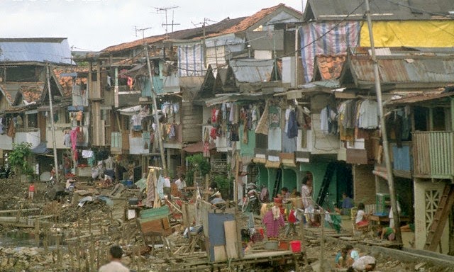 5 Daerah di Bengkulu dengan Penduduk Miskin Paling Banyak, Nomor 1 Dijuluki Bumi Raflesia