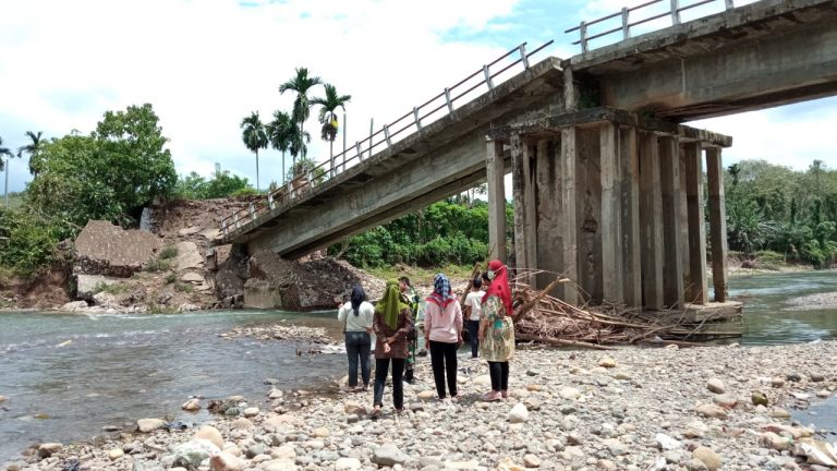 Jembatan Penghubung Ambruk, Warga Terpaksa Bawa Sawit Seberangi Sungai Bila Surut