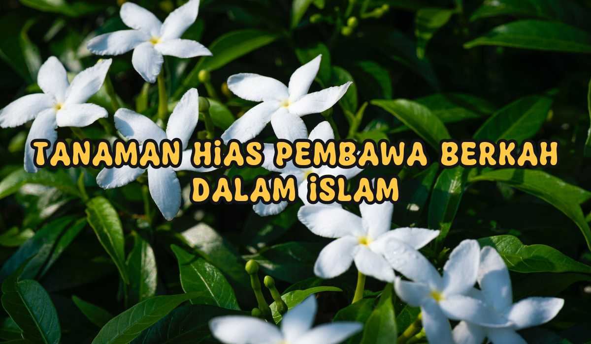Deretan Tanaman Hias Pembawa Berkah dalam Islam, No 2 Mudah Ditemui di Pekarangan Rumah