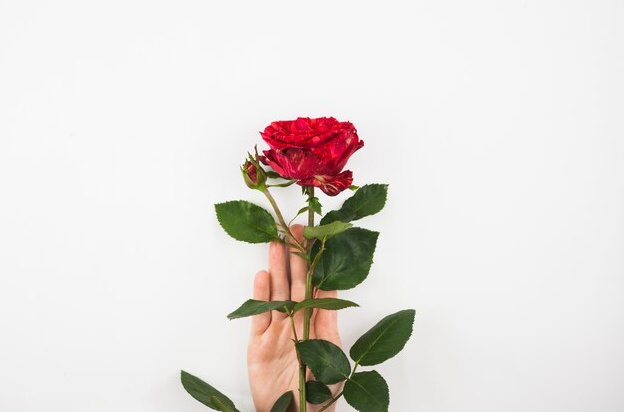 Punya Sejarah Panjang! Intip 7 Fakta Menarik dan Unik Tentang VALENTINE di Tahun 2025 