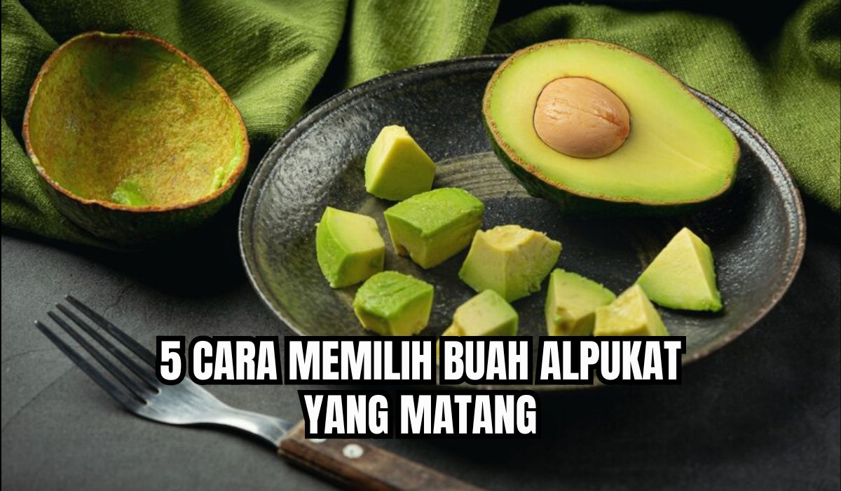 Sering Kecele Saat Beli! Ini 5 Cara Memilih Buah Alpukat yang Matang, Pernah Coba?