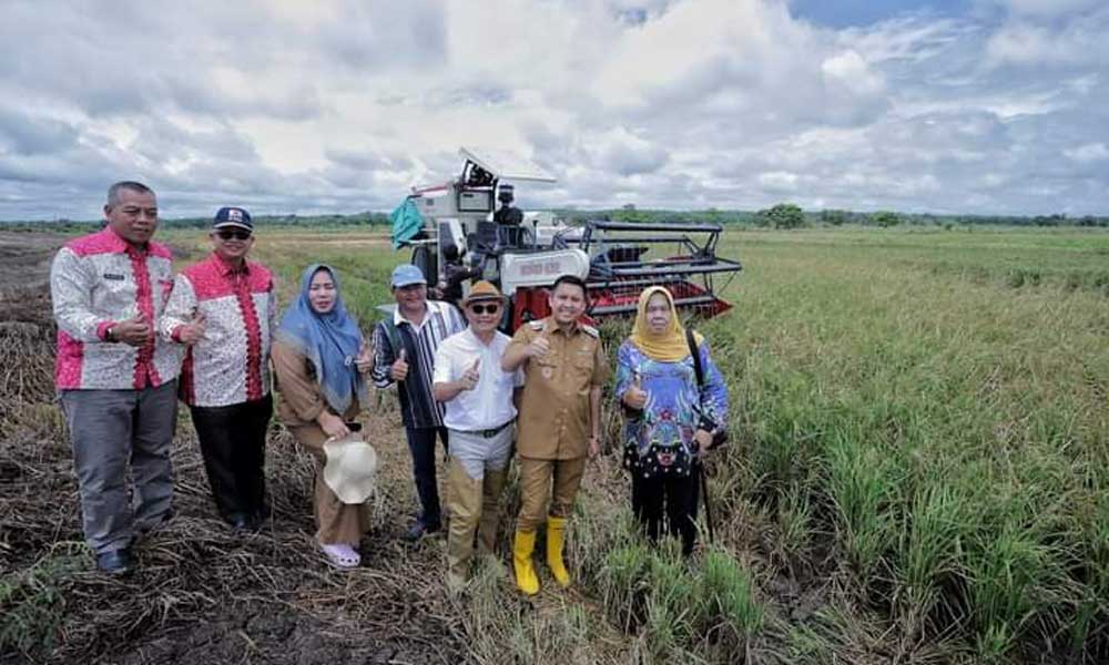 Panen Raya! Bupati Panca Wijaya Akbar Ajak Petani Ogan Ilir Jaga Alat Pertanian dan Optimalkan Produksi