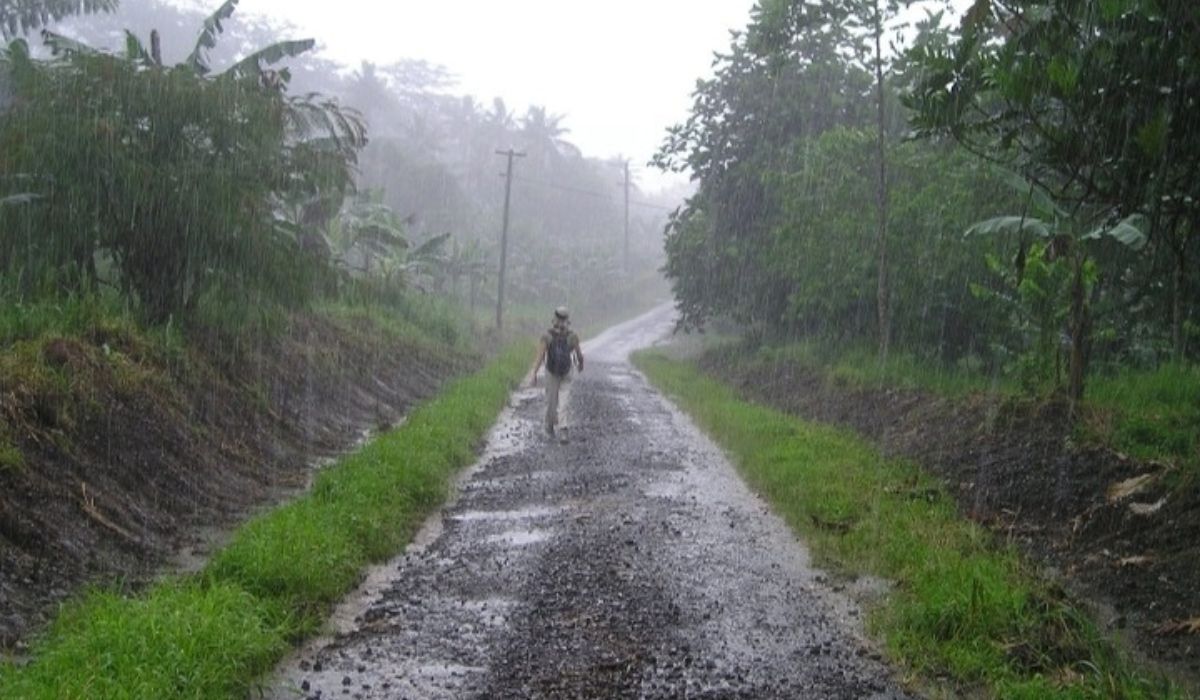 Prakiraan Cuaca BMKG Hari Senin 4 Desember 2023: Kalimantan Full Hujan! 