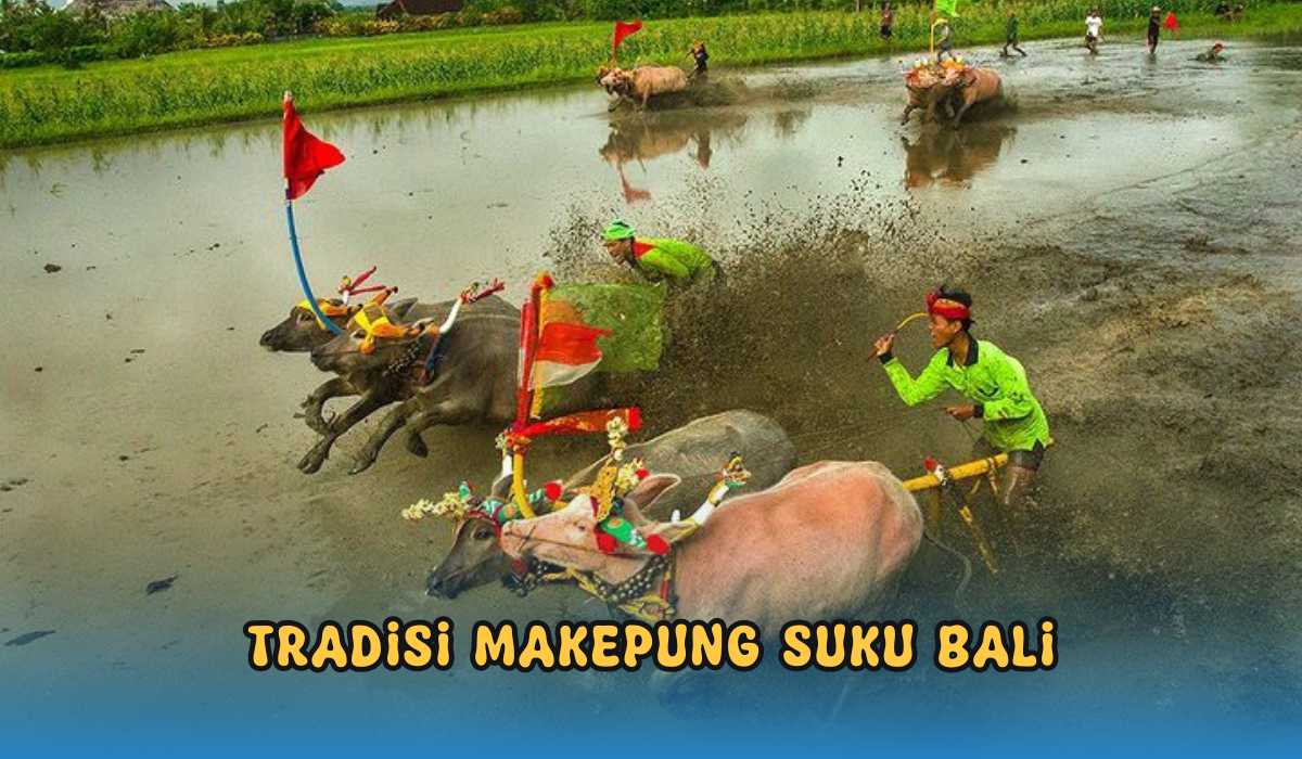 Makepung, Tradisi Balapan Kerbau di Bali, Atraksi Wisata Populer yang Ditunggu Wisatawan