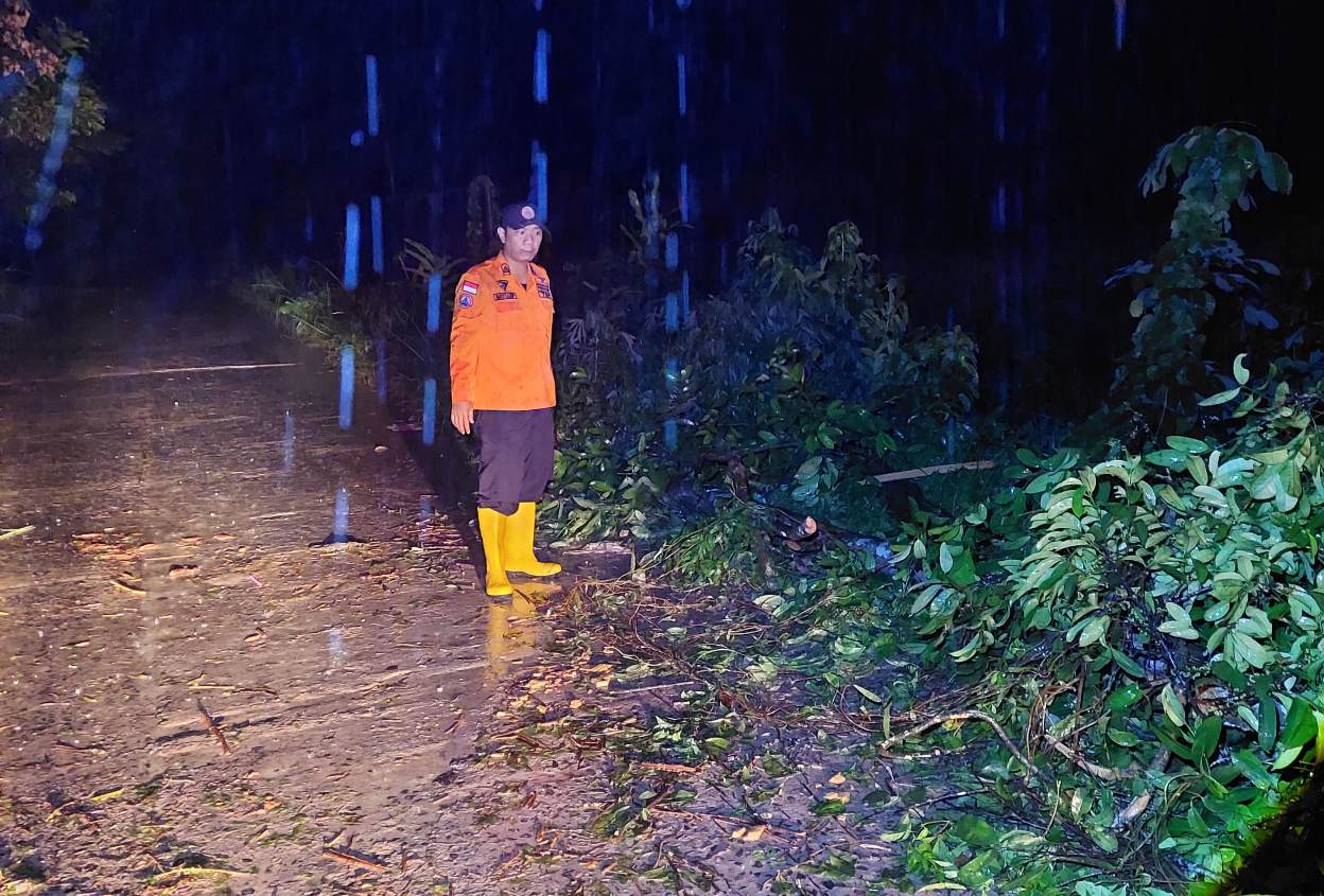 Tim Gabungan Bergerak Cepat Evakuasi Pohon Tumbang di Sekayu