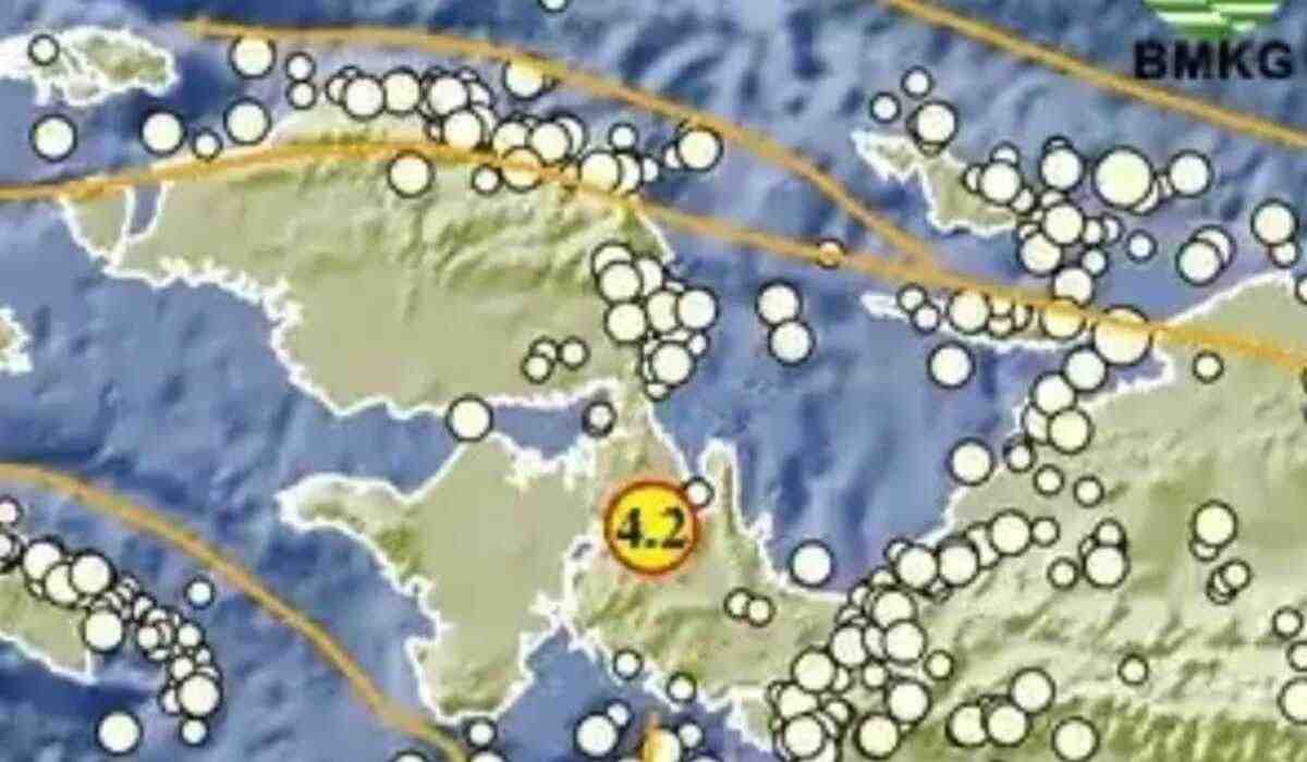 Pagi Ini, Gempa 4.2 Magnitudo Guncang Teluk Wondama Papua Barat