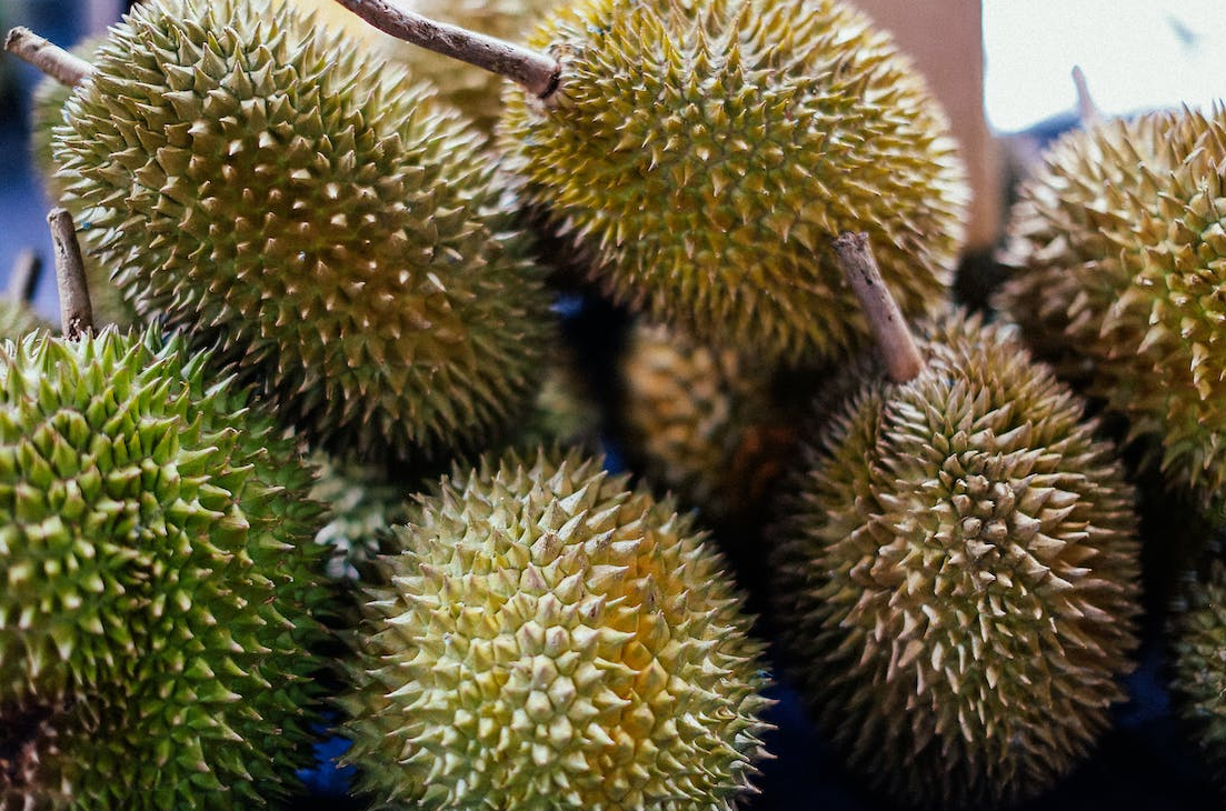 5 Kecamatan Penghasil Durian Terbesar di Kabupaten Karanganyar: Jumantono Nomor 3, Lalu Juaranya?