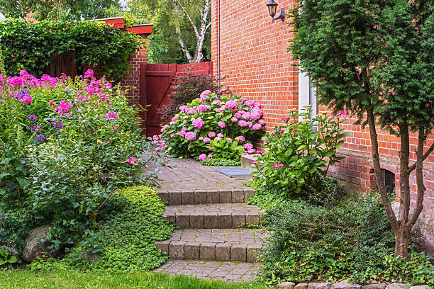 TIPS FENG SHUI: Ini 4 Tanaman Hias Pengusir Aura Negatif di Rumah Anda