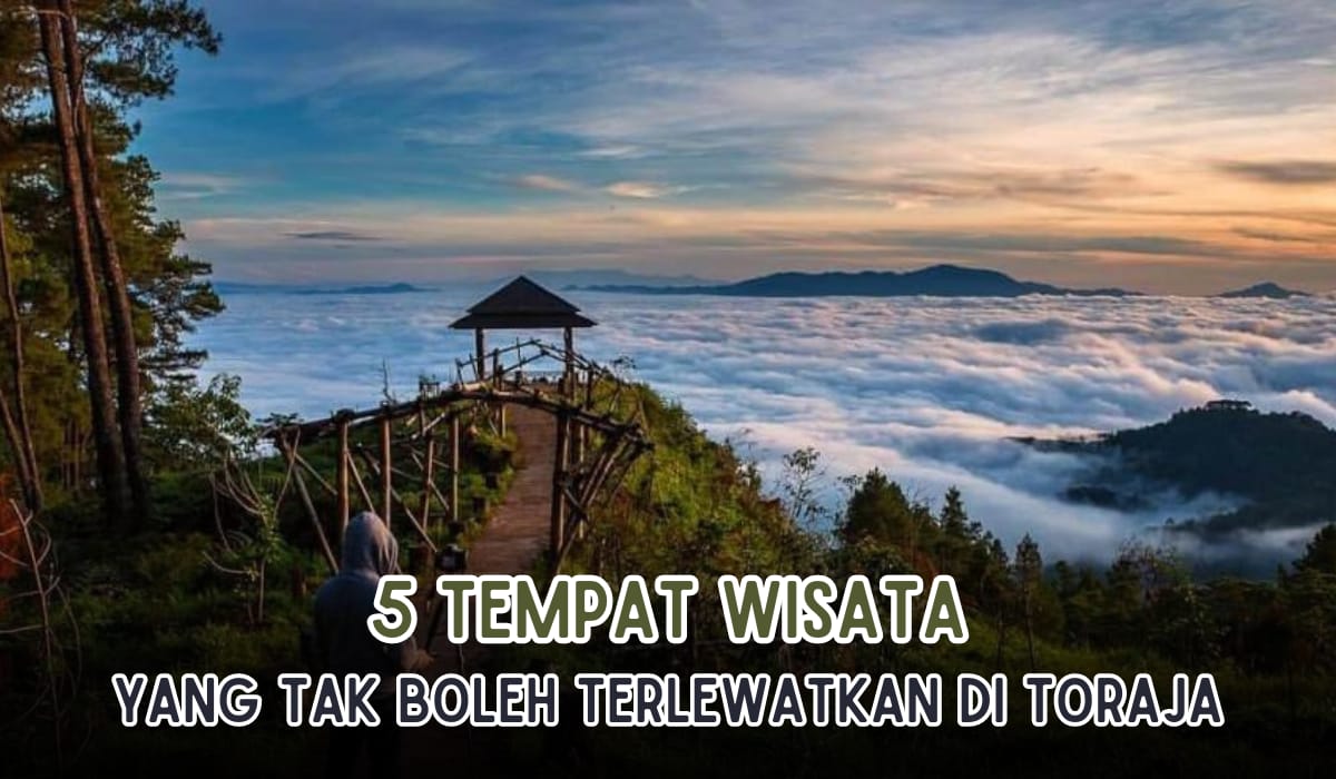 5 Tempat Wisata Terbaik di Toraja yang Gak Boleh Terlewatkan, Mirip Negeri di Atas Awan 