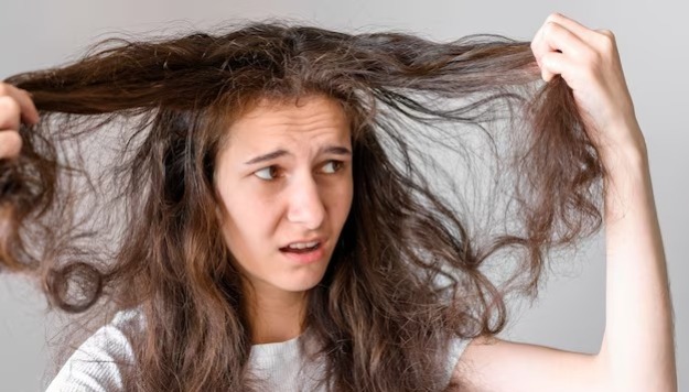 5 Cara Ampuh Mengatasi Rambut yang Kering, Dijamin Auto Halus dan Lembut