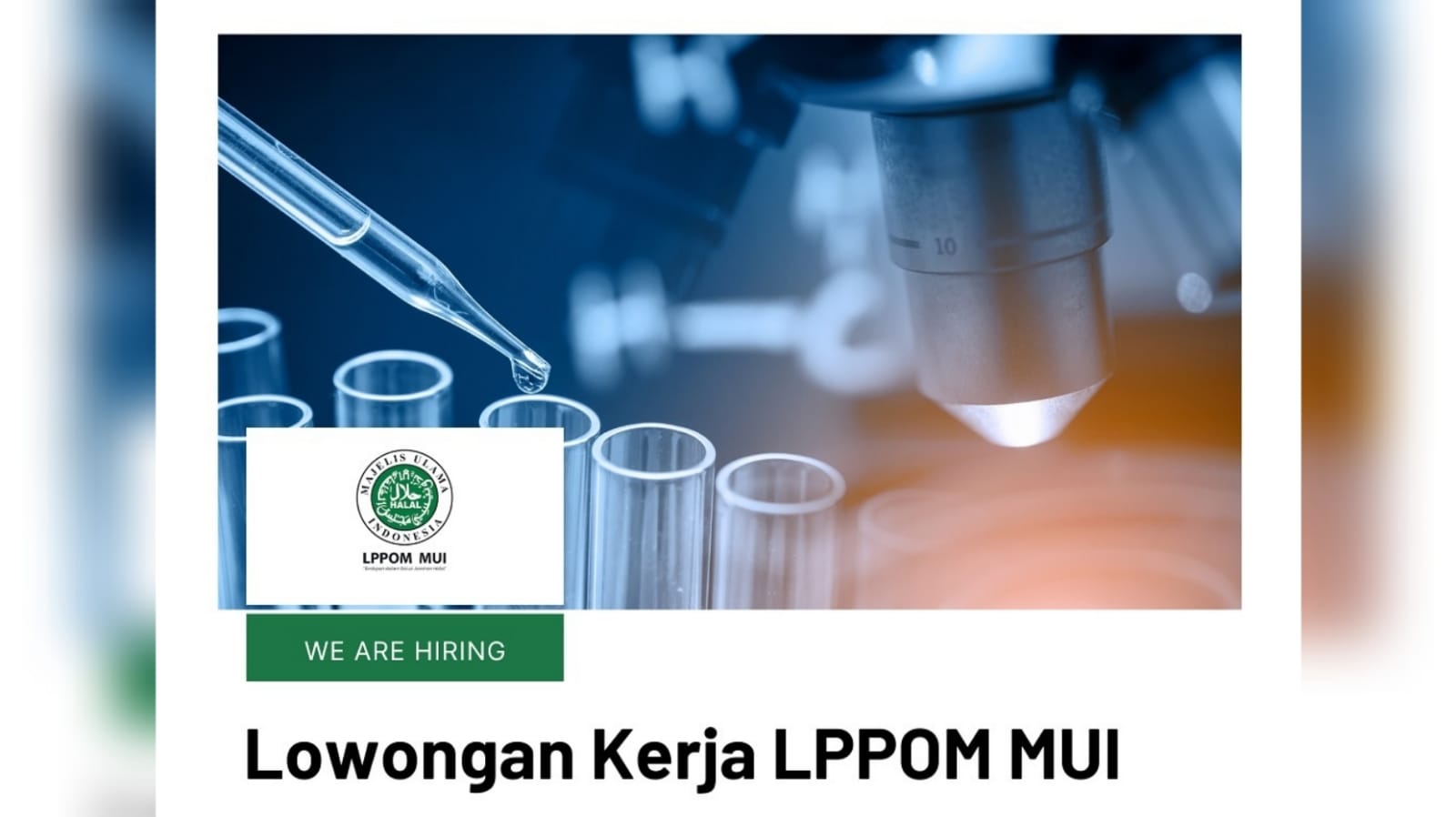 LPPOM MUI Buka Lowongan Kerja Terbaru Sebagai Laboratory Registration Staff, Apa Saja Persyaratannya