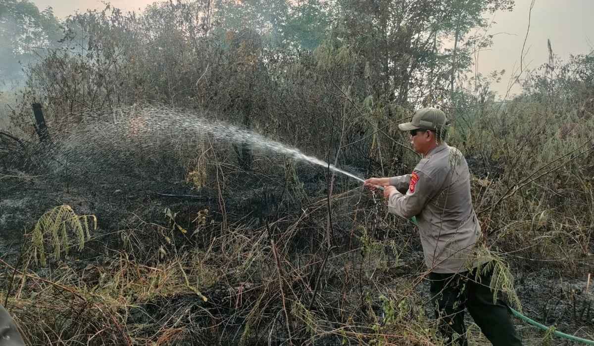 Karhutla Hanguskan 6 Hektare Lahan di Empat Lawang, Diduga Ini Pemicunya