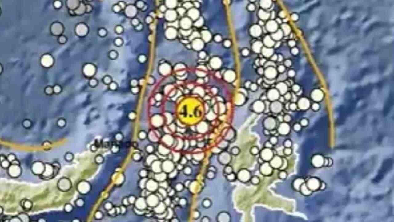 Update BMKG, Gempa Magnitudo 4.6 Guncang Halmahera Barat, Tak Berpotensi Tsunami