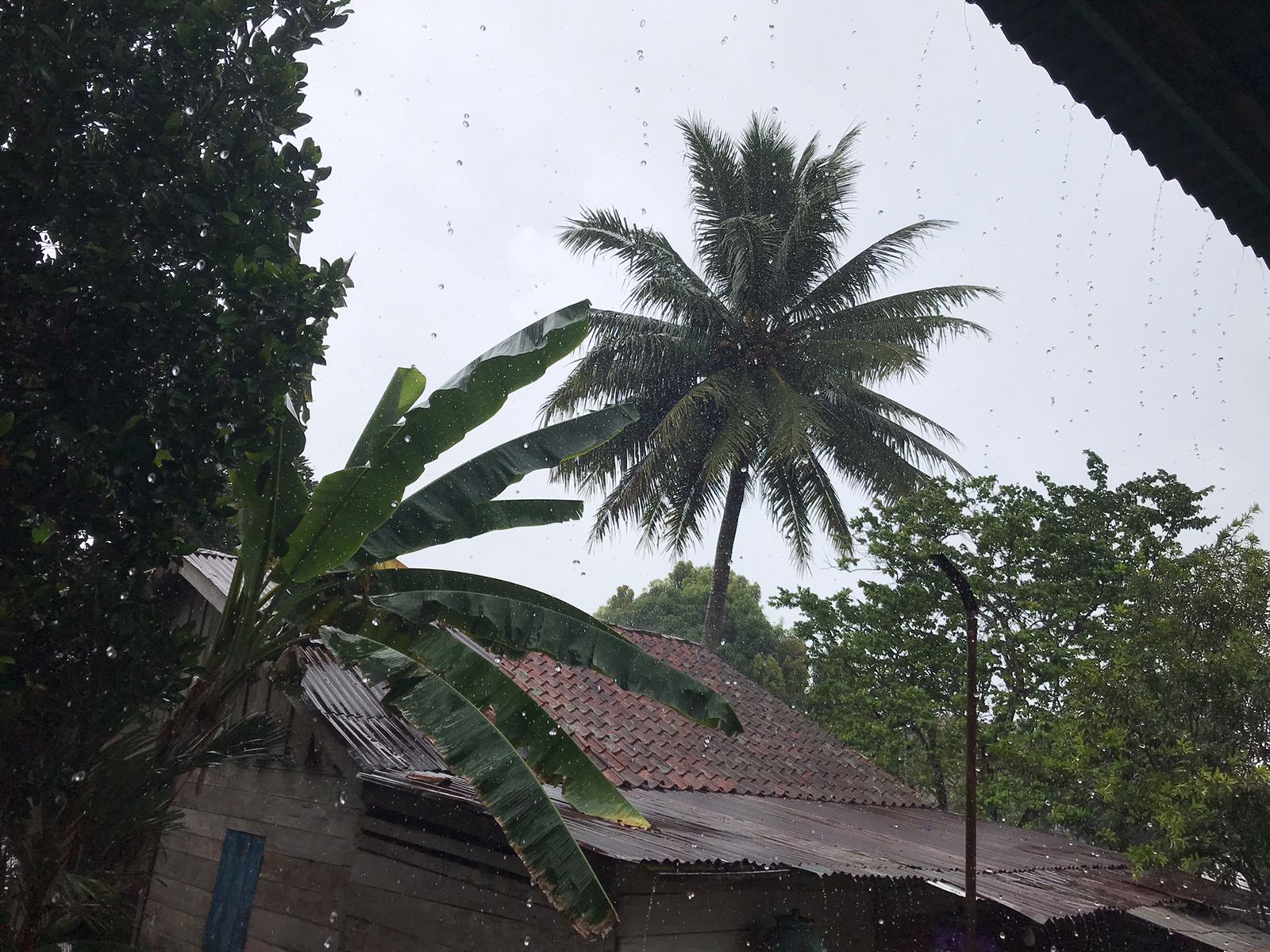 Tetap Waspada: Berdasarkan Prakiraan Cuaca, Daerah Sumsel Mengalami Hujan Ringan Hingga Sedang di Siang Hari 
