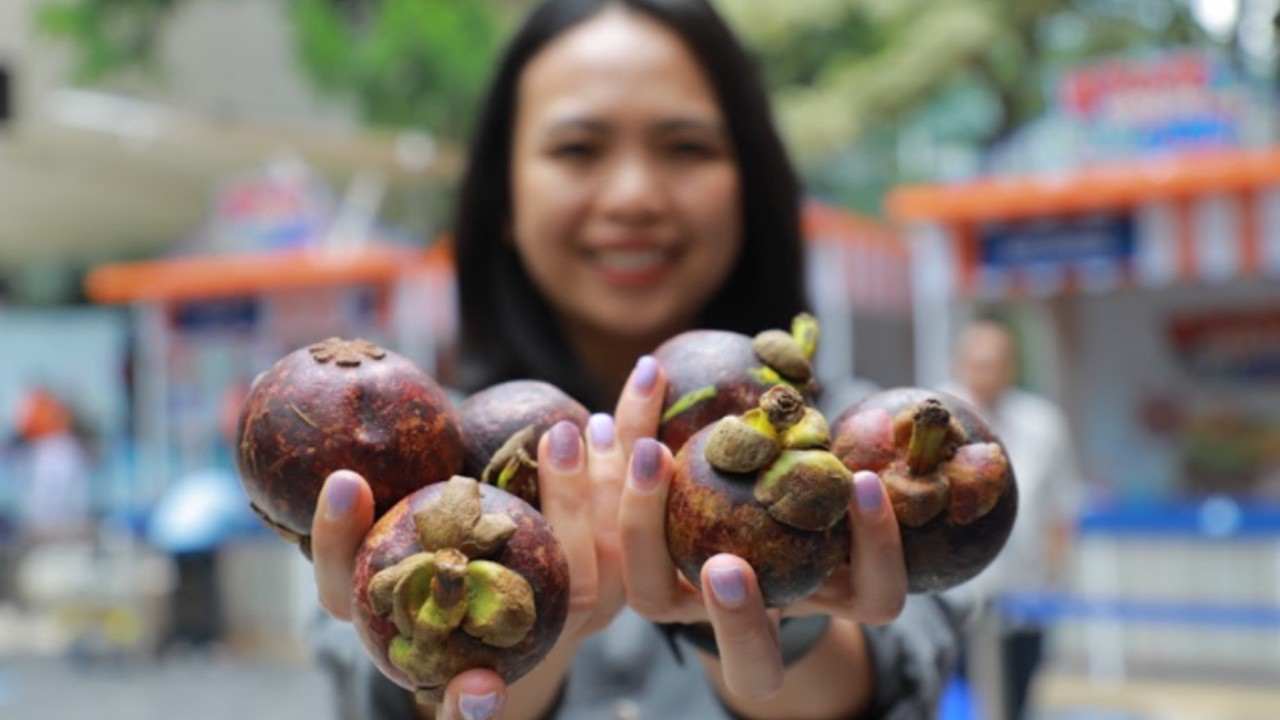 Program Pemberdayaan BRI Dorong Klaster Usaha Manggis di Bali Perluas Jaringan Pemasaran 