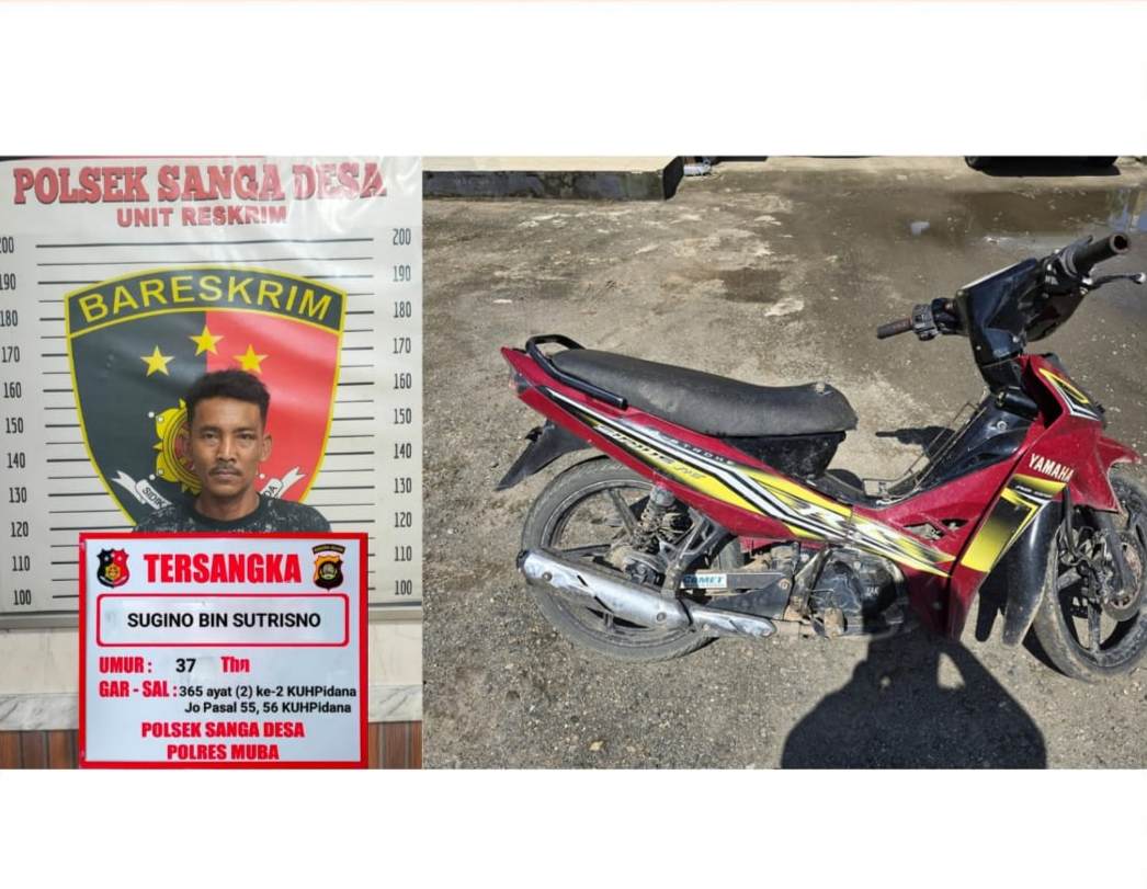 Tim Gabungan Kembali Amankan Pelaku Perampokan 400 Juta Bersenpi di Sanga Desa