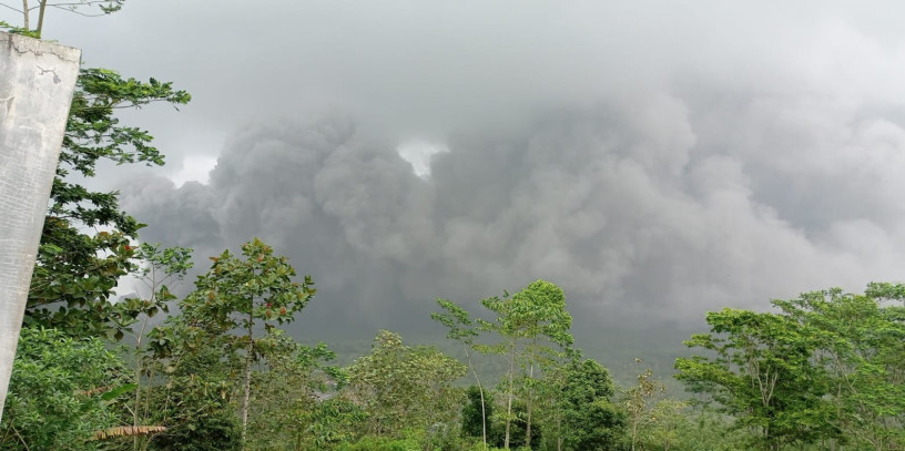 INFO TERBARU! 1.979 Warga Mengungsi Imbas Gunung Api Semeru Erupsi