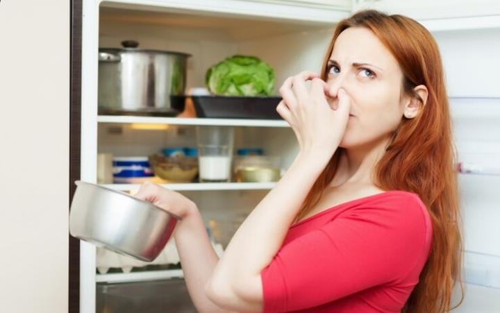 Tips Ampuh Hilangkan Bau di Dalam Kulkas Dalam Sekejap, Cukup Pakai Satu Bahan Ini Aja!