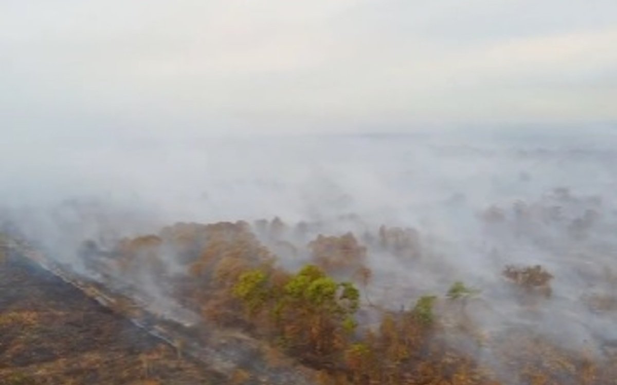 270 Hektar Lahan di OI Terbakar, Awas ISPA Mengancam!