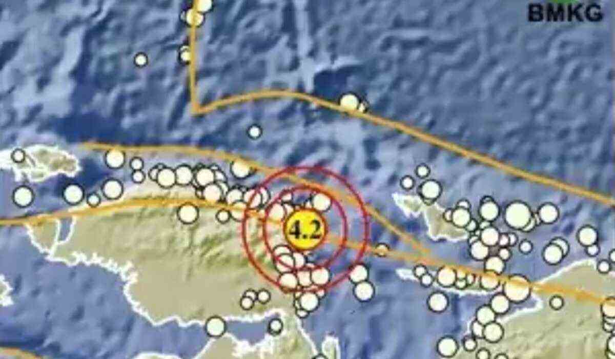 Gempa Bumi Guncang Manokwari Selatan Papua Barat, Segini Kekuatannya