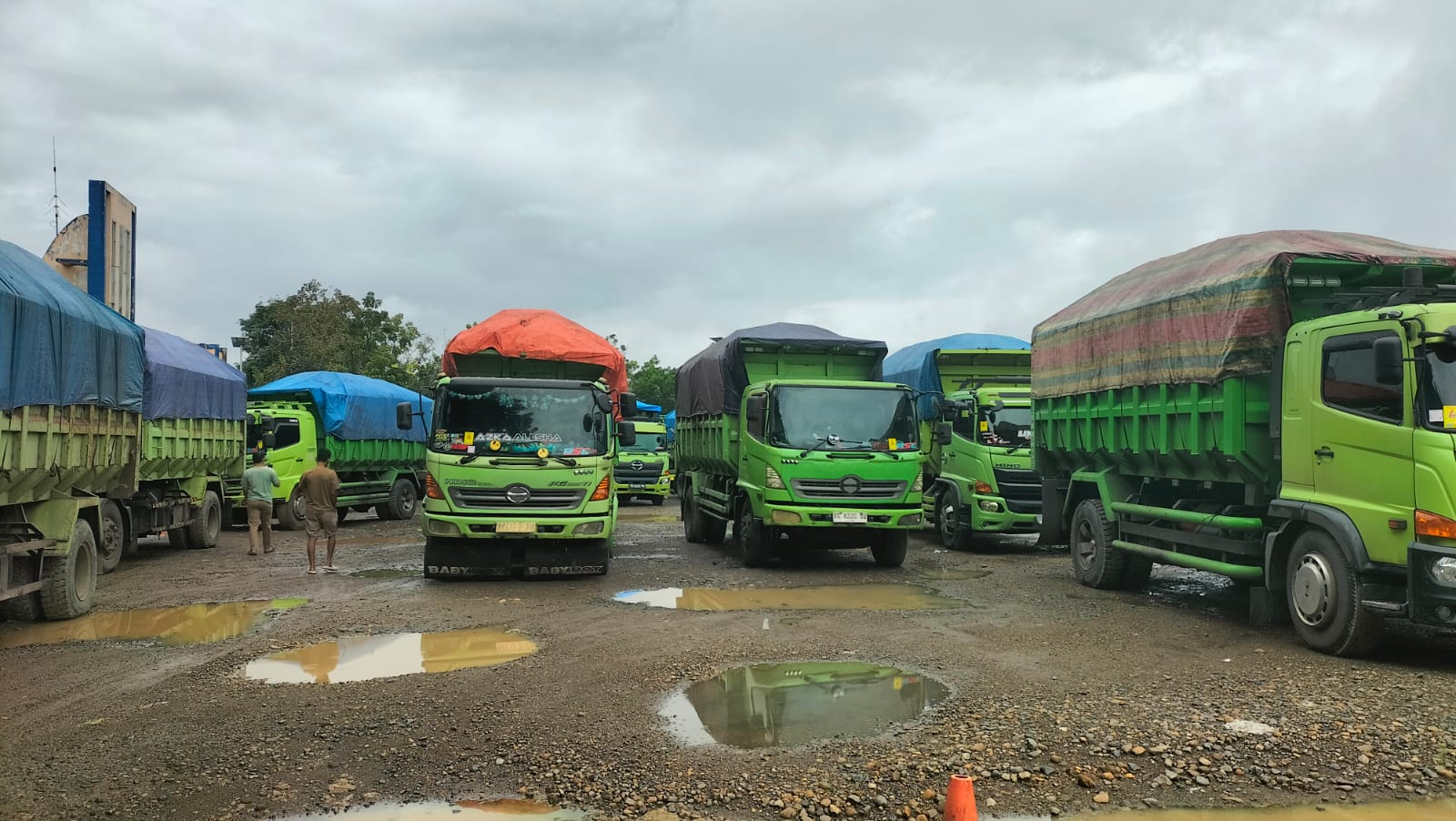 Razia Terpadu di Terminal Petanang, 40 Truk Batu Bara Diamankan