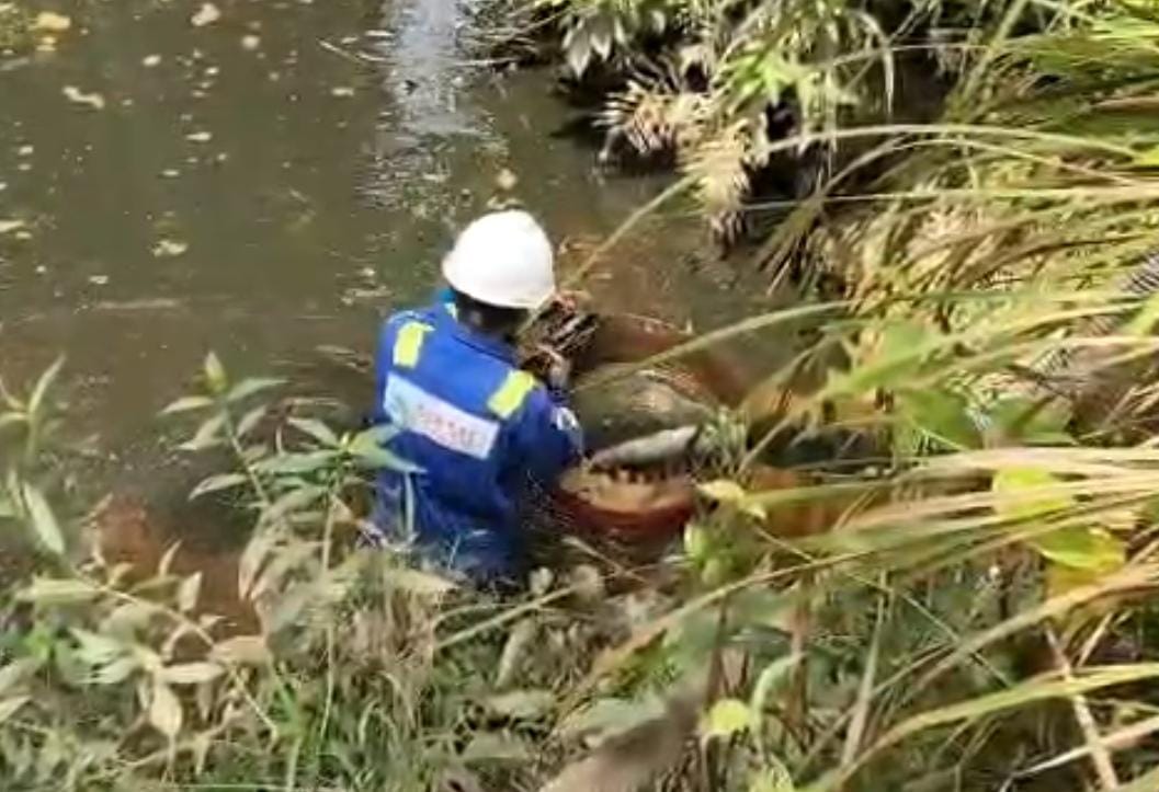 Diduga Bocor dari Tangki Minyak SRMD, Sungai dan Sumur Warga Belani Tercemar