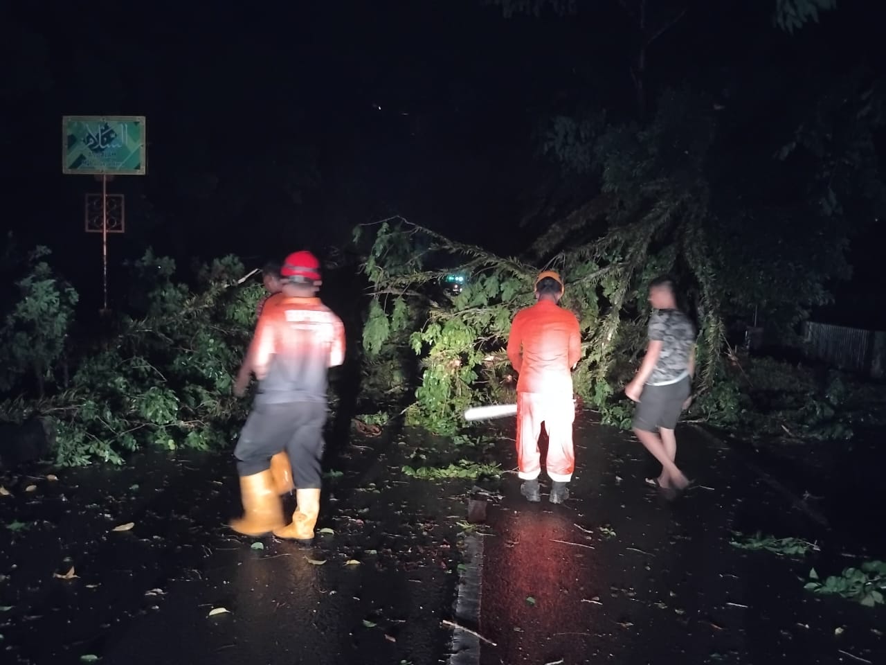 Angin Puting Beliung Hantam Sekayu, Sejumlah Pohon Tumbang Hingga Rumah Hancur