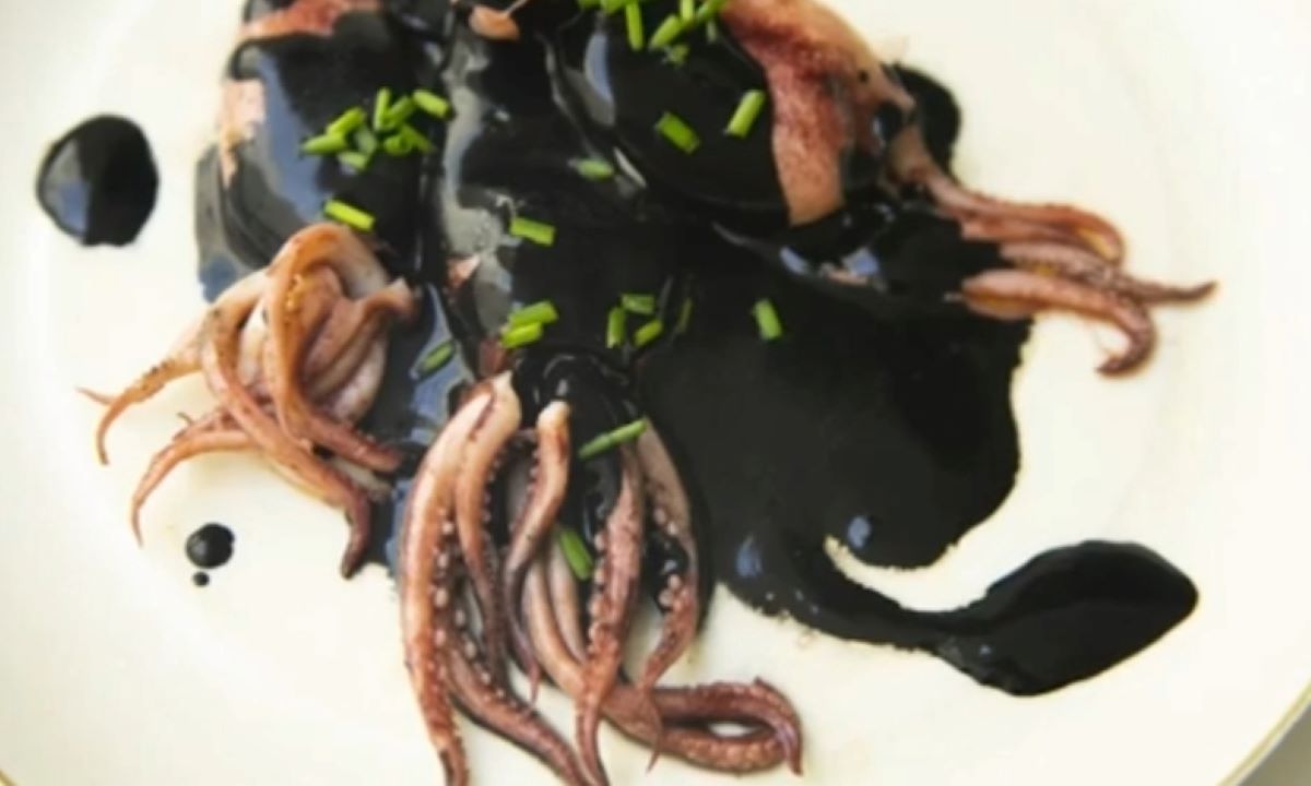 SIMAK! Ini Deretan Manfaat Tinta Cumi-Cumi Untuk Kesehatan