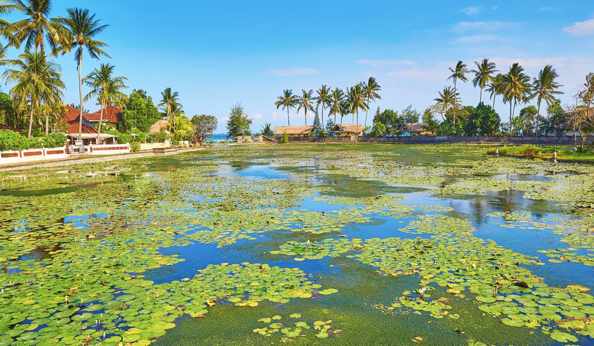 5 Destinasi Wisata Murah di Bali Selain Pantai, Liburan Lebih Seru dengan Nuansa Berbeda