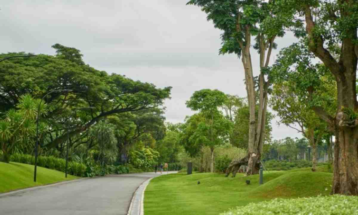 Ada Taman Unik di Papua Barat, Namanya Jokowi-Iriana dan Jusuf Kalla