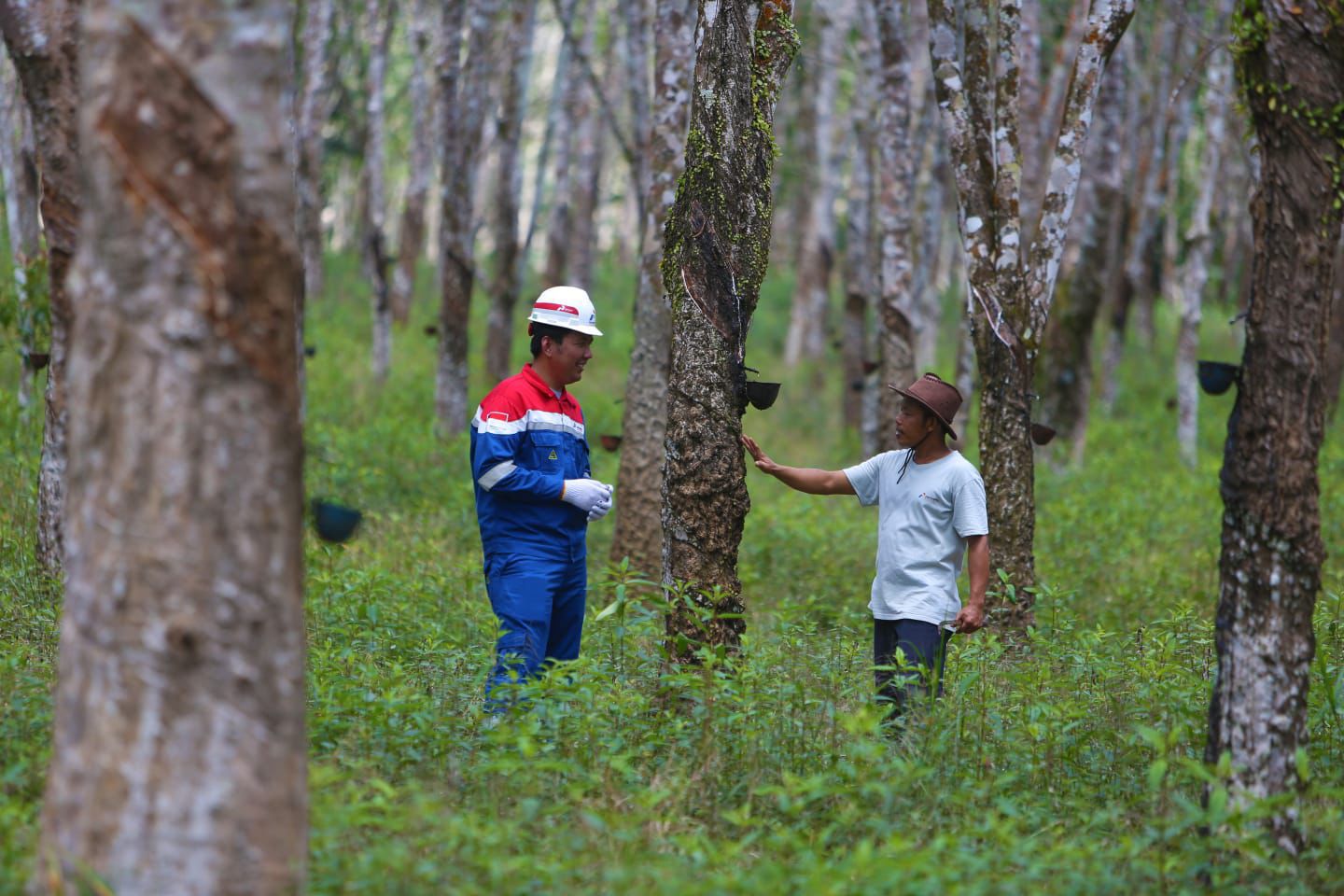 PGN Dorong Pemberdayaan Ekonomi Masyarakat Lewat Energi Bersih