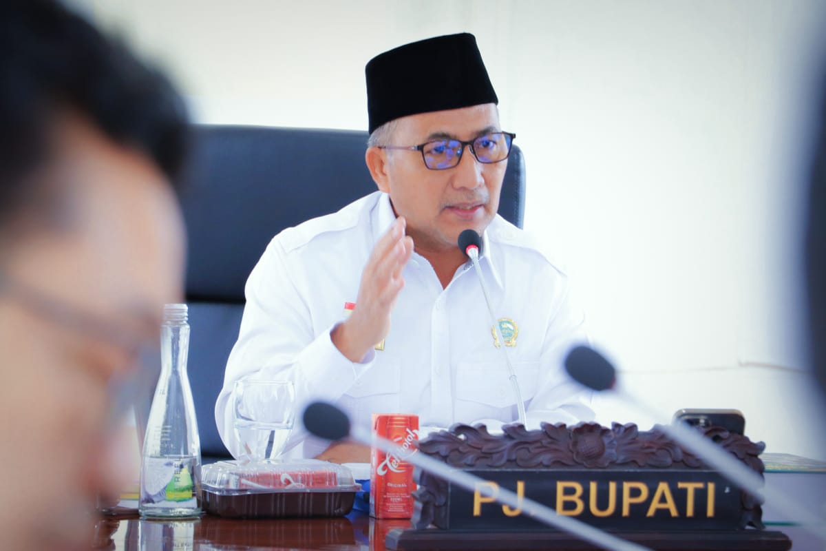 Secara Virtual, PJ Bupati Musi Banyuasin Paparkan Realisasi Program di Triwulan II Kepada Kemendagri