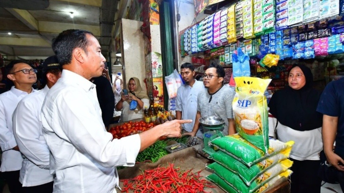 Jokowi Sidak Harga Pangan di Pasar Gelugur Rantauprapat, Bentuk Perhatian Pemerintah 