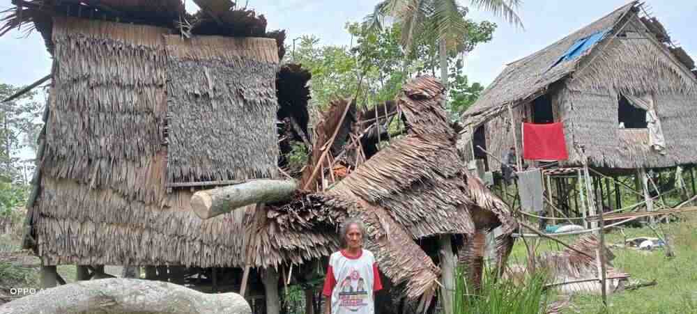 MIRIS! Rumah Reyot Nenek 76 Tahun di Ogan Ilir Ini Ditimpa Pohon Tumbang   