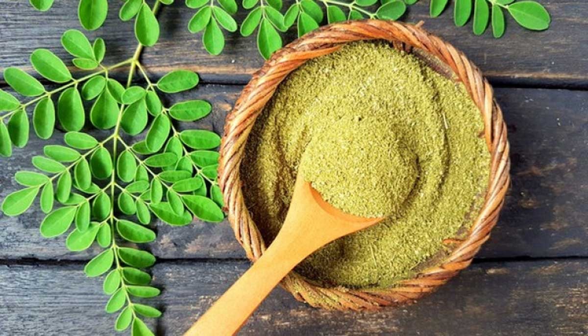 Bukan Daun Biasa! 4 Daun Herbal Ini Dipercaya Ampuh Jaga Kesehatan Tubuh