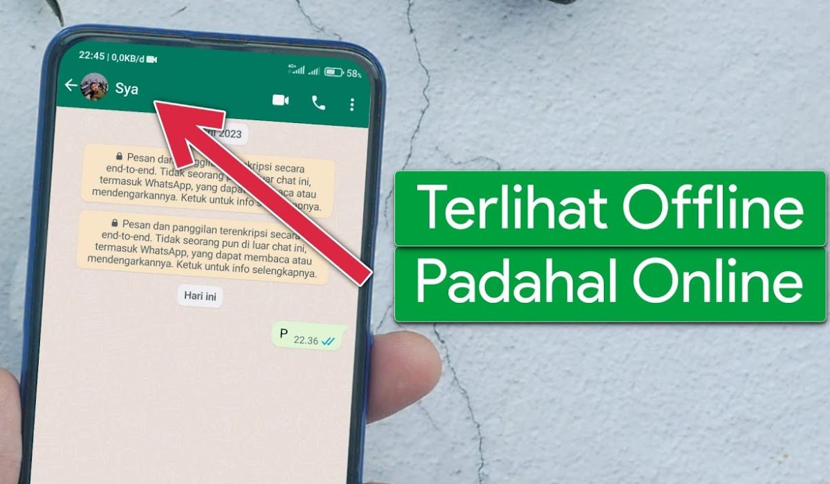 Trik Buat WhatsApp Terlihat Offline Padahal Online, Ungkap Rahasia Aplikasi 'Seribu' Umat