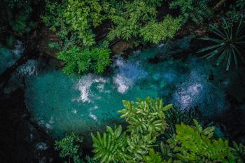 Sungai Paling Jernih di Indonesia, Surga Kecil yang Jatuh ke Bumi Alam Papua, Ini Wisata Air Wajib Dikunjungi!