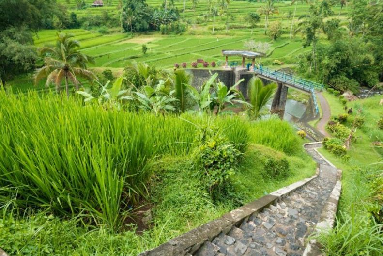 Tempat Wisata di Sumatera Selatan Terbaru dengan Suasana Adem dan Tenang, Cocok Buat Libur Panjang Nanti