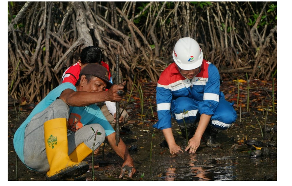 Berdayakan Masyarakat Pesisir Sembilang, Kilang Pertamina Plaju Sabet Prestasi 