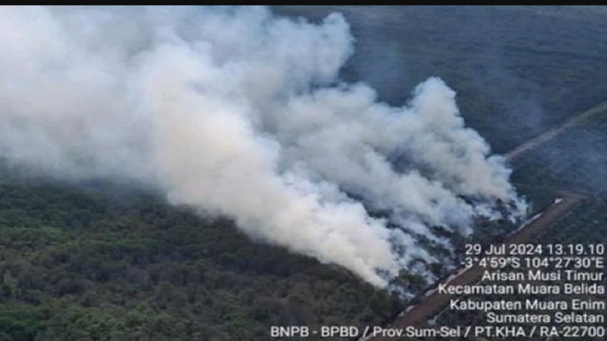 Muara Enim MEMBARA! Lahan Gambut Seluas 5 Hektare Terbakar 