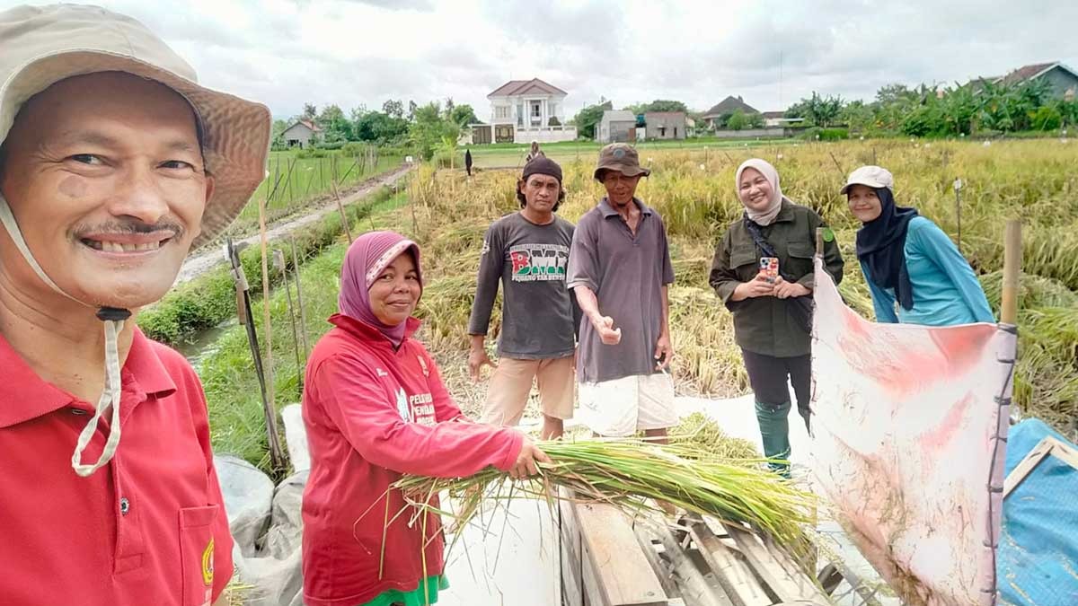 Gandeng Perguruan Tinggi hingga Petani, Bukit Asam Kembangkan Inovasi Pertanian Berkelanjutan