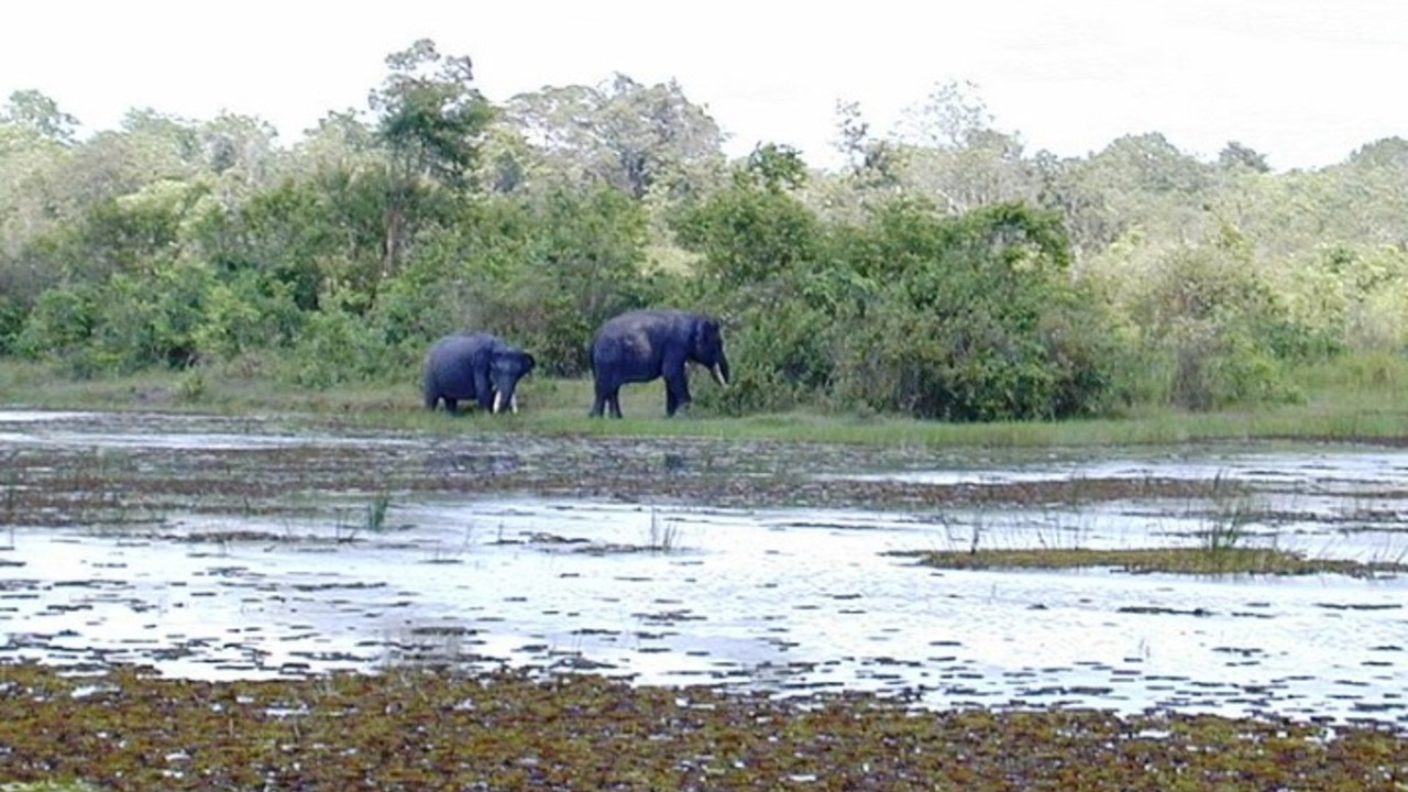 Objek Wisata Sekitar JTTS Memanjakan Mata, Apa Saja? Ini Rekomendasi Hutama Karya