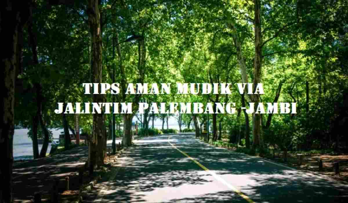 5 Tips Aman Mudik Lewat Jalan Lintas Timur Sumatera Palembang – Jambi, Nomor 4 Jangan Lengah!